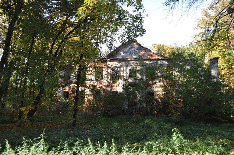 ruiny w leśno-parkowym otoczeniu