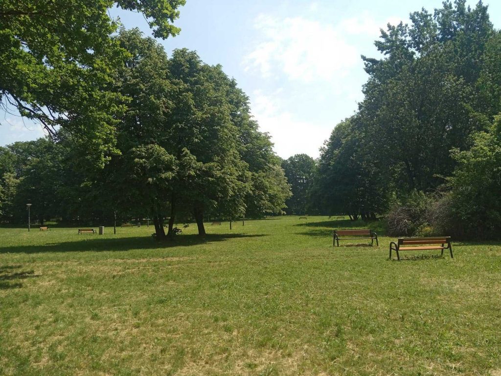 Zieleń parku miejskiego w Pieszycach.