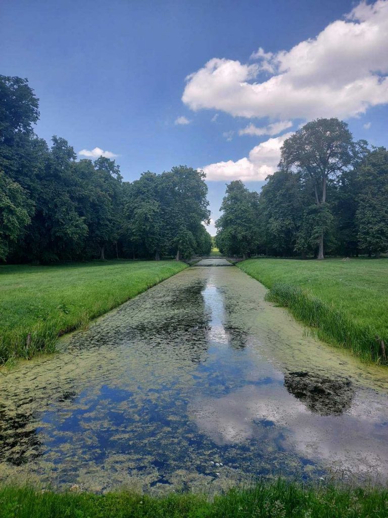 Kanał w parku otoczony zielenią.