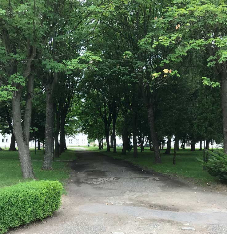 park