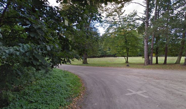 park
