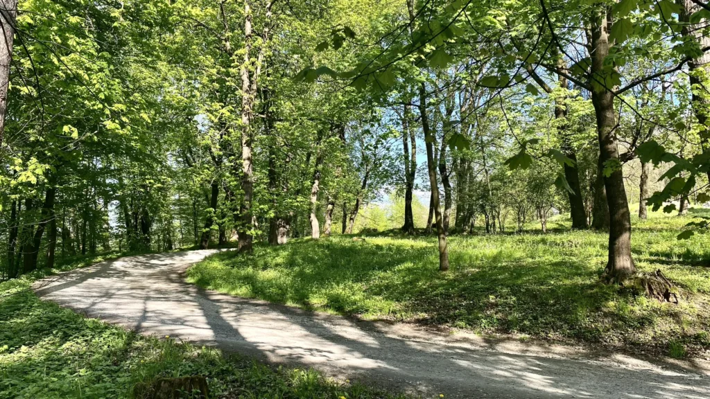 Widok parku w słoneczny dzień
