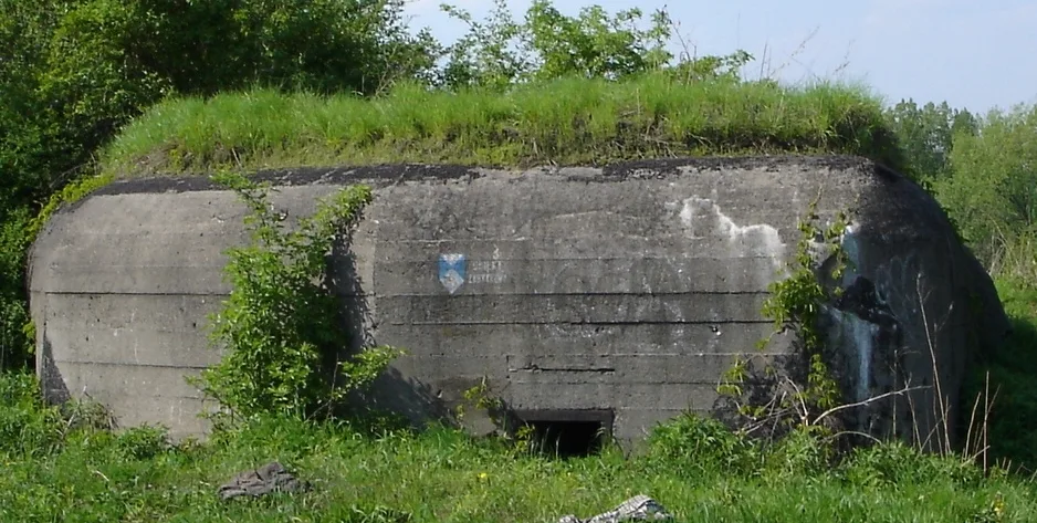 Schron porośnięty zielenią.