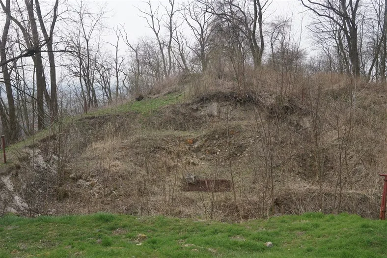 Fragment wzgórza zamkowego.